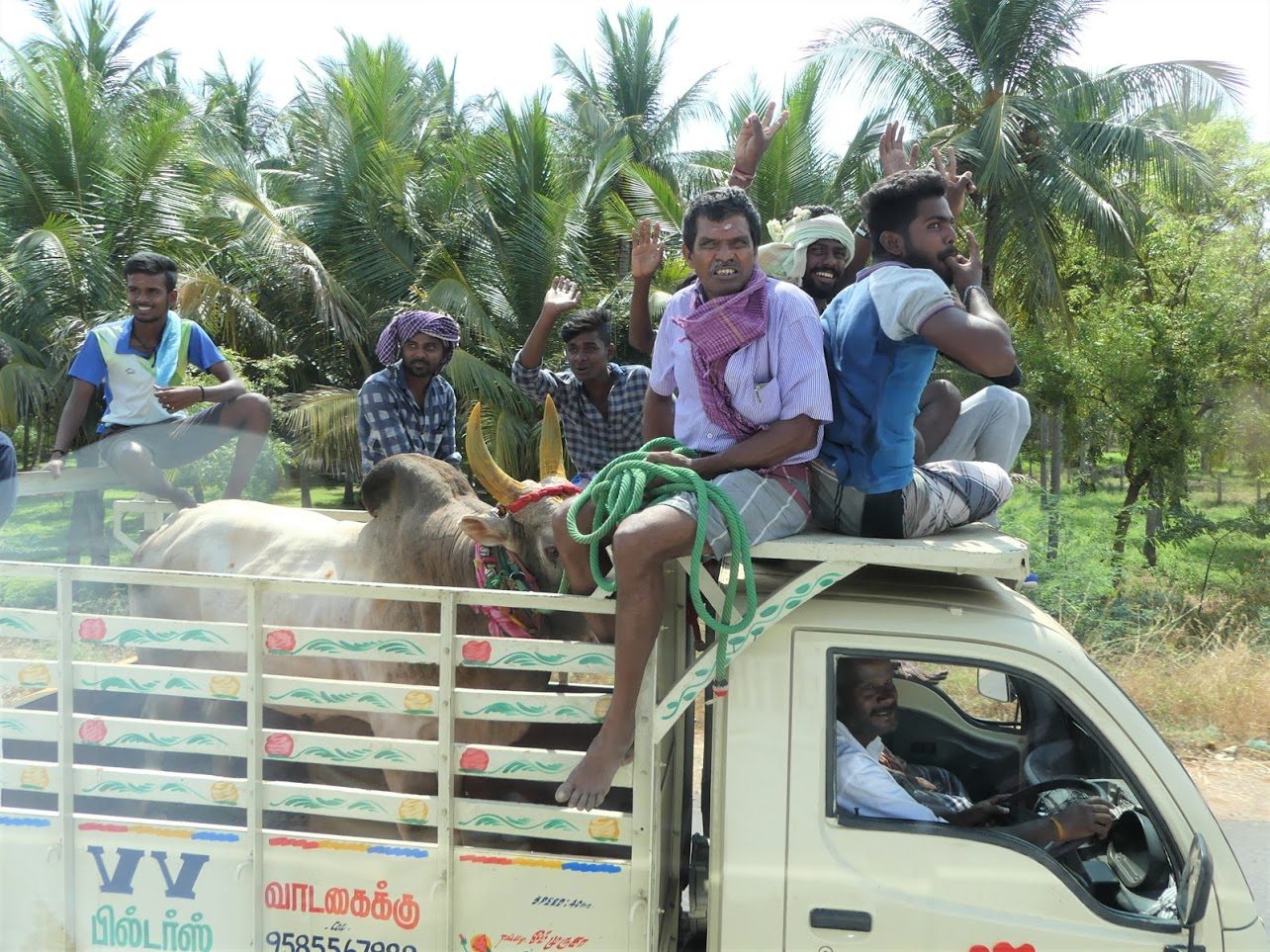 Circuit exclusif à Thekkady - Inde du sud avec lagence Evalys