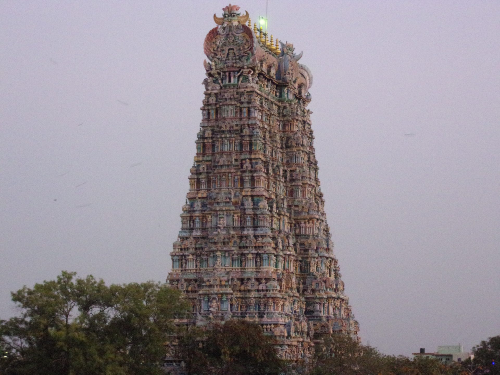 Voyage sur mesure en Inde - Visite du temple de Madurai