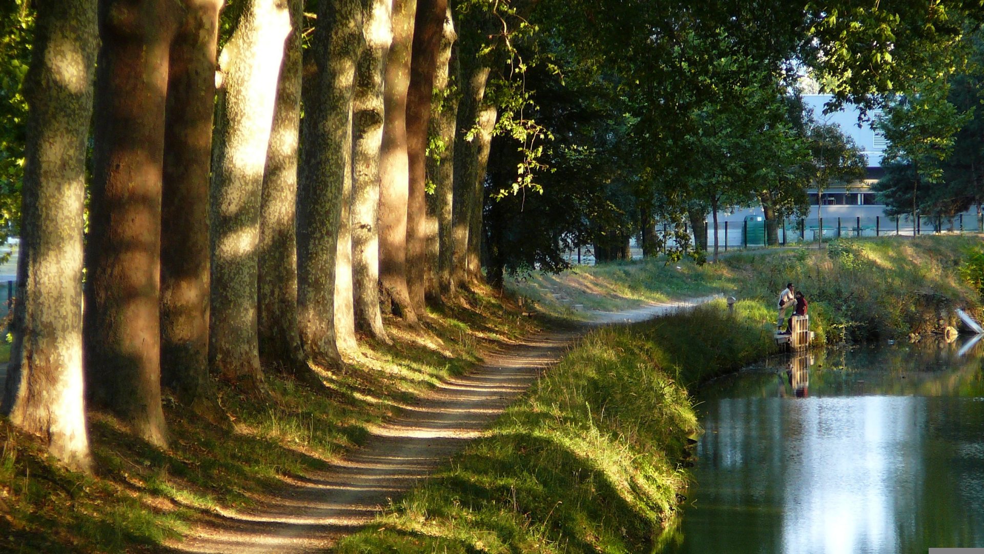 Voyage de groupe à Avignonet Lauragais