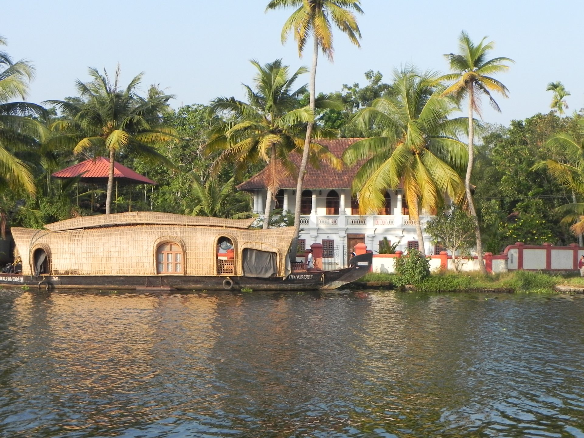 Croisière sur les back waters - Inde du sud