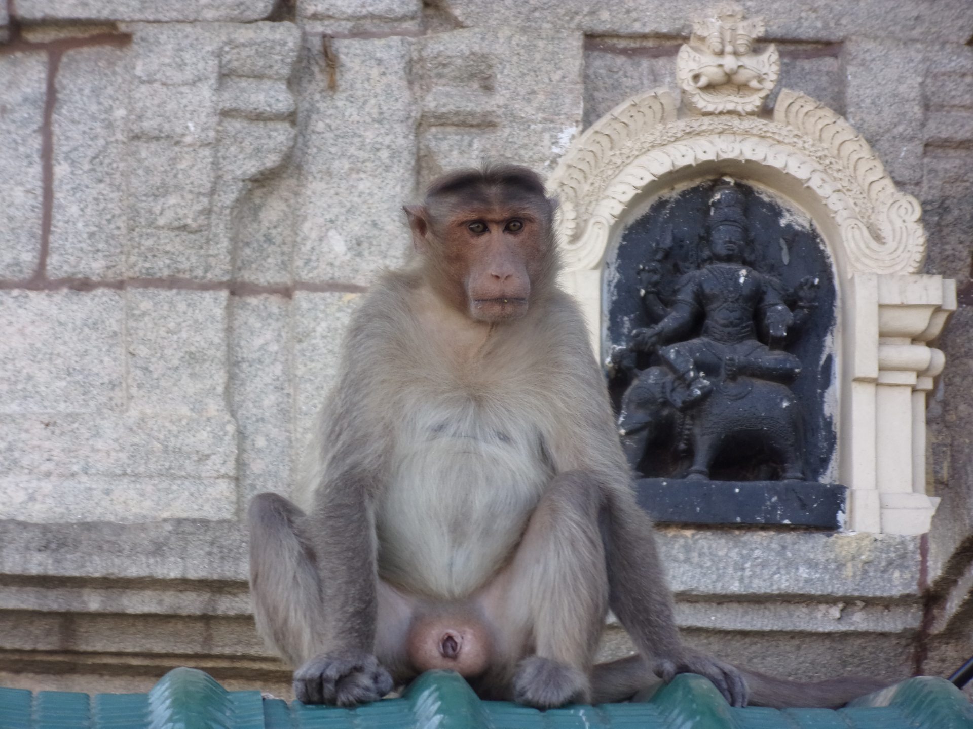 Evalys spécialiste de la destination Inde du Sud