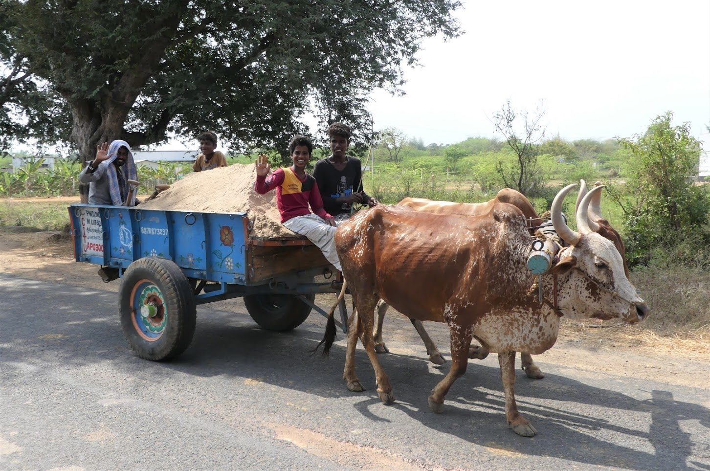 Découverte de la vie traditionnelle en Inde du Sud