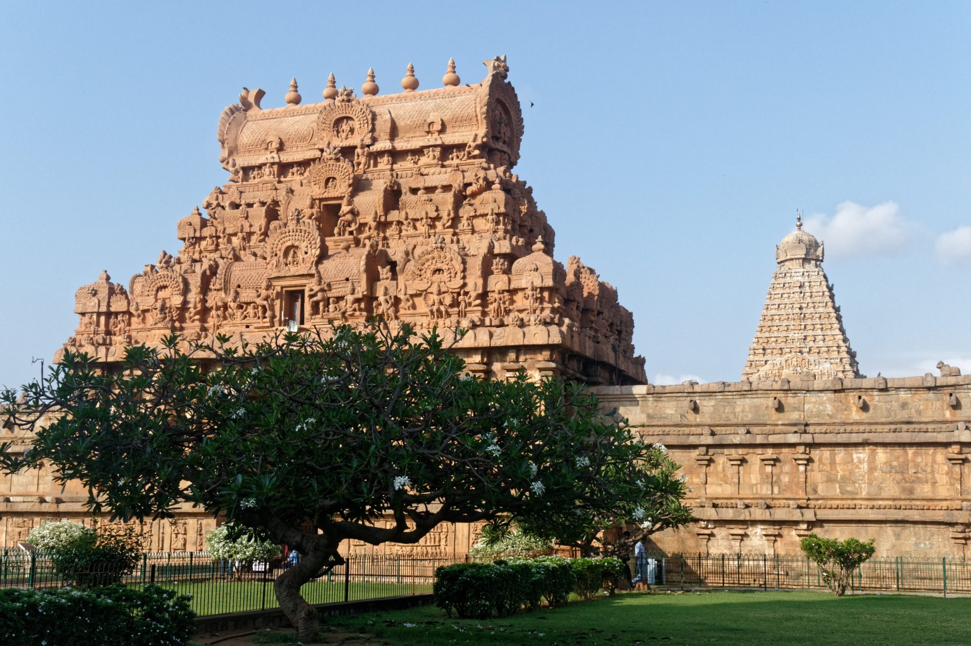 Visite de groupe du temple de TANJORE - Inde du sud