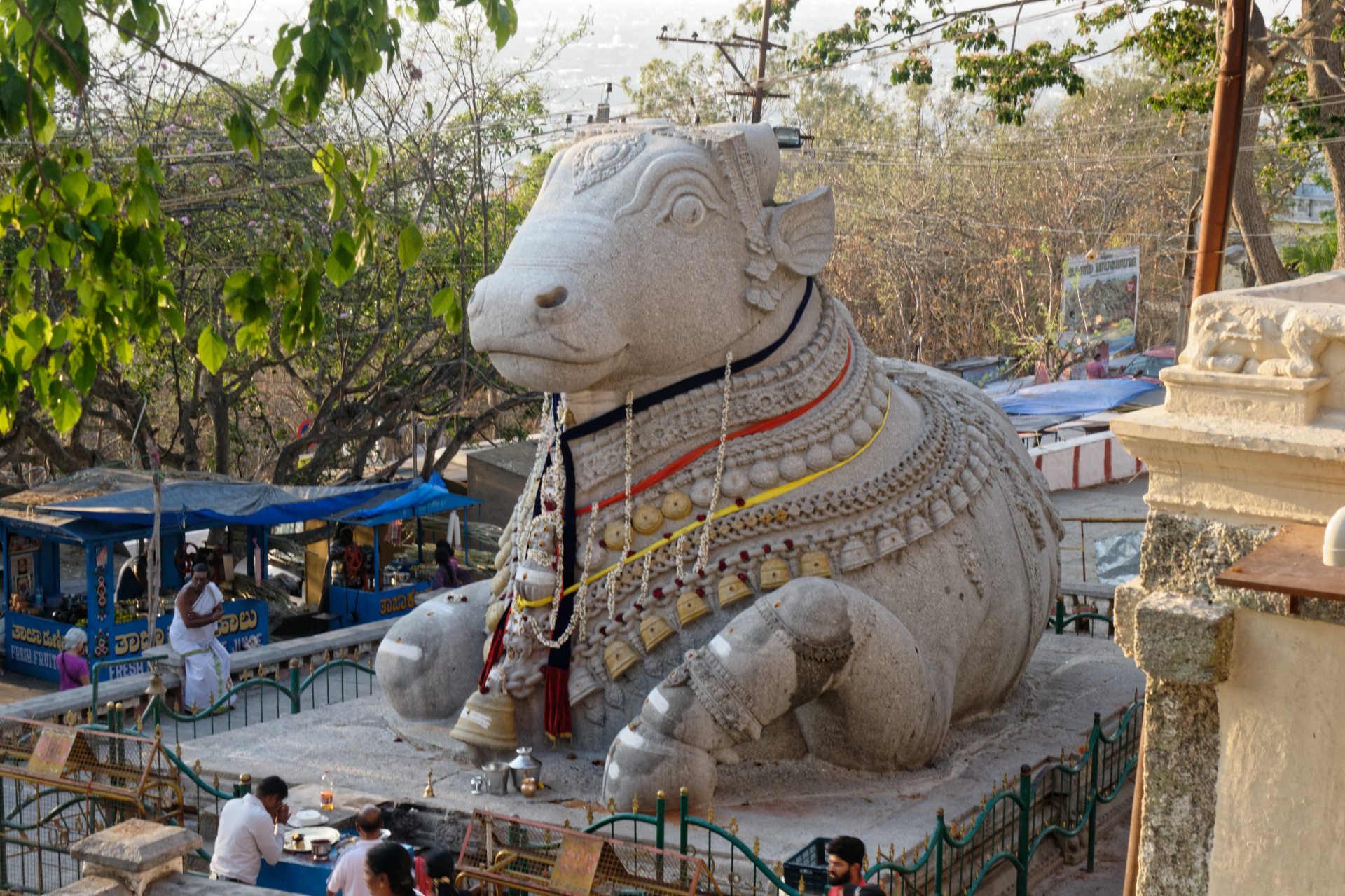 Découverte culturelle en Inde du Sud avec Evalys