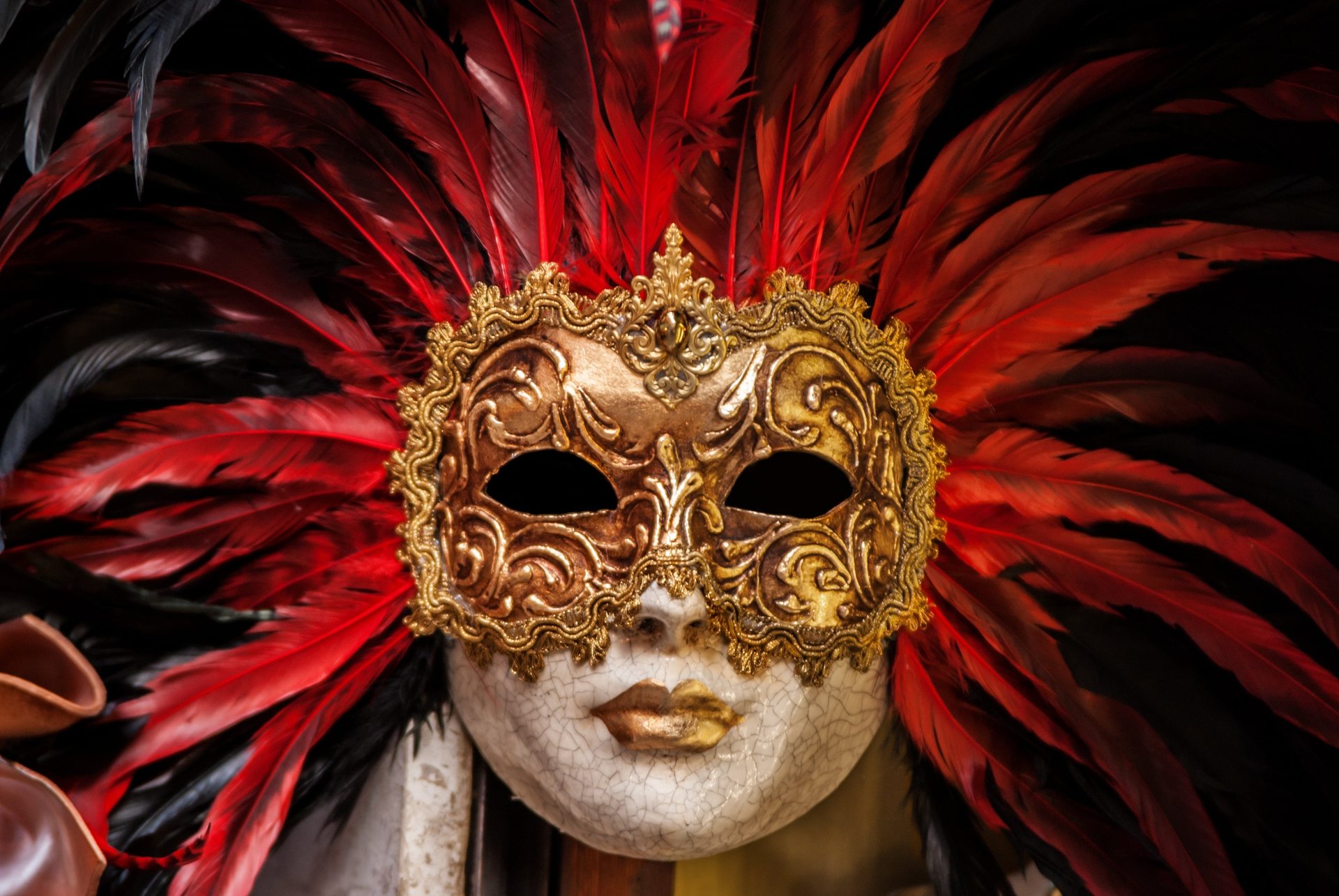 Découvrez le carnaval de Limoux avec l'agence Evalys